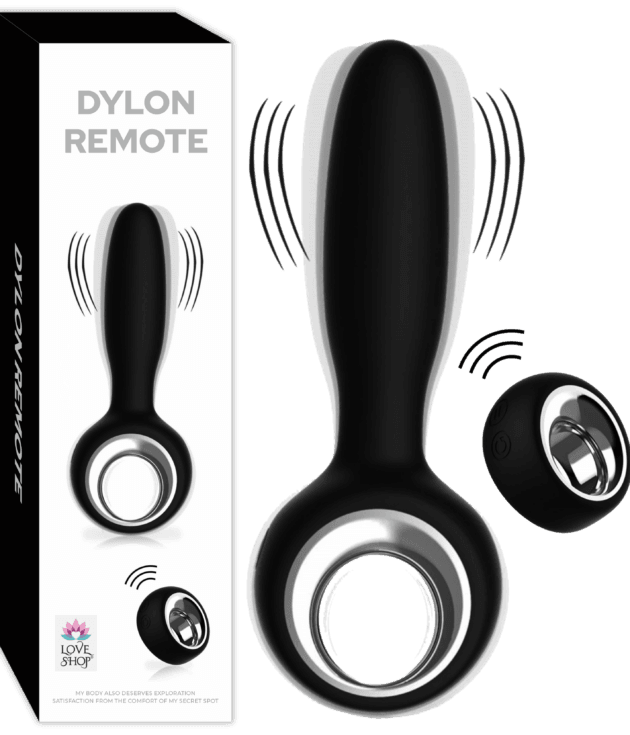 DYLON REMOTE